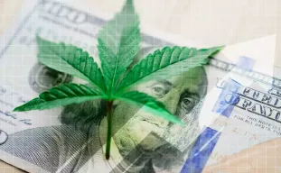 Step-By-Step Guide: How to Pay for Cannabis Seeds with Cryptocurrency